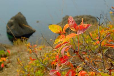 Прикрепленное изображение: 4.JPG